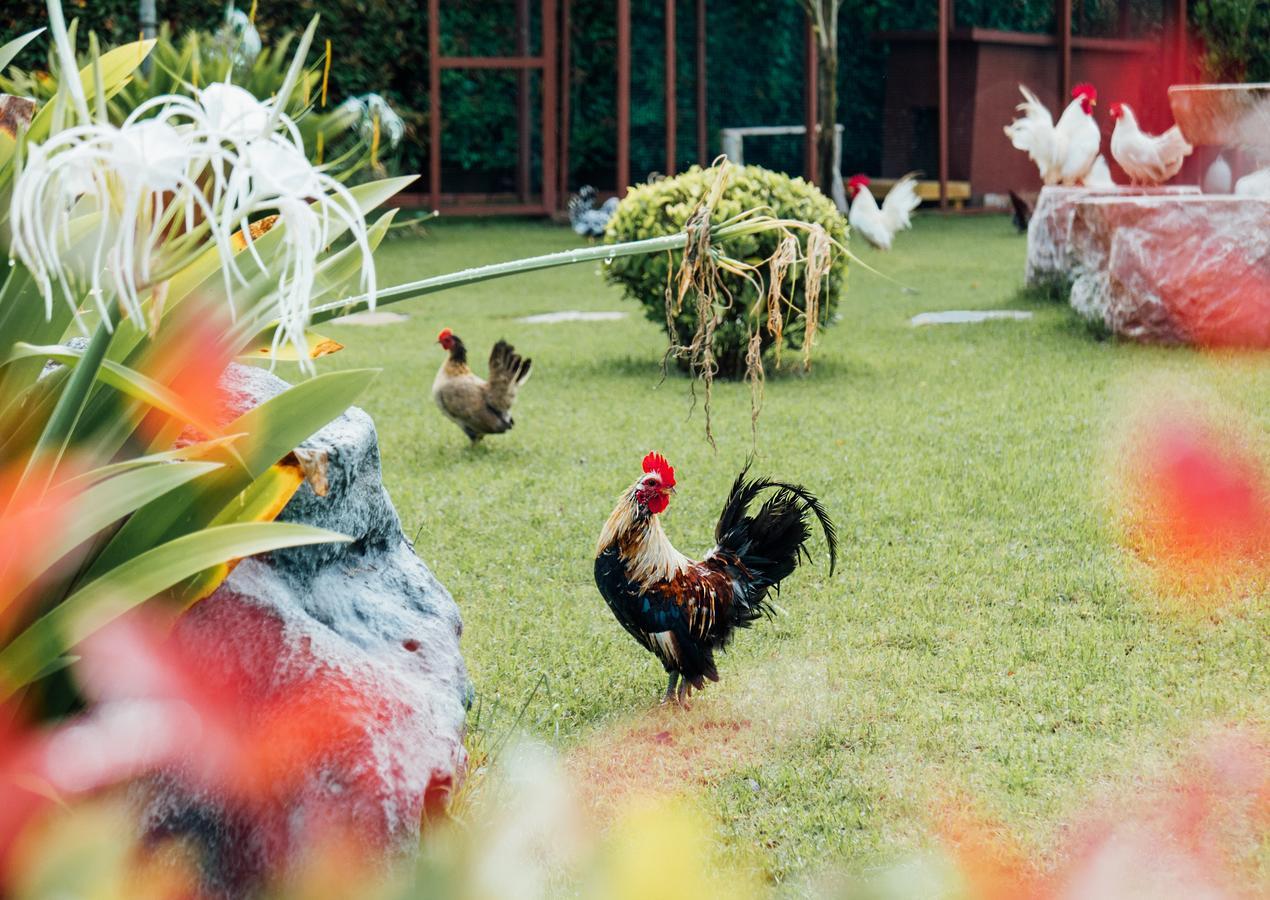 Rai Fahpratan Home And Garden Ban Pak Ngam  Экстерьер фото