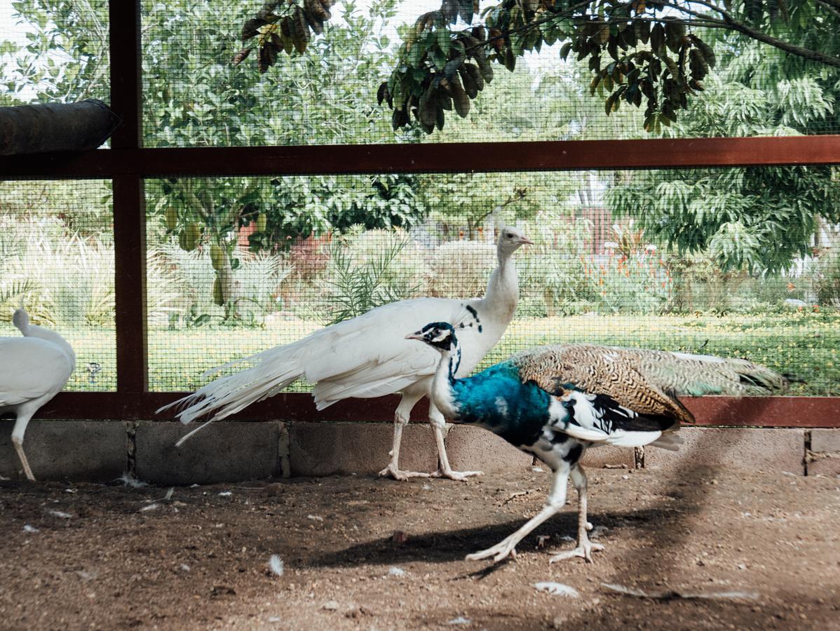 Rai Fahpratan Home And Garden Ban Pak Ngam  Экстерьер фото